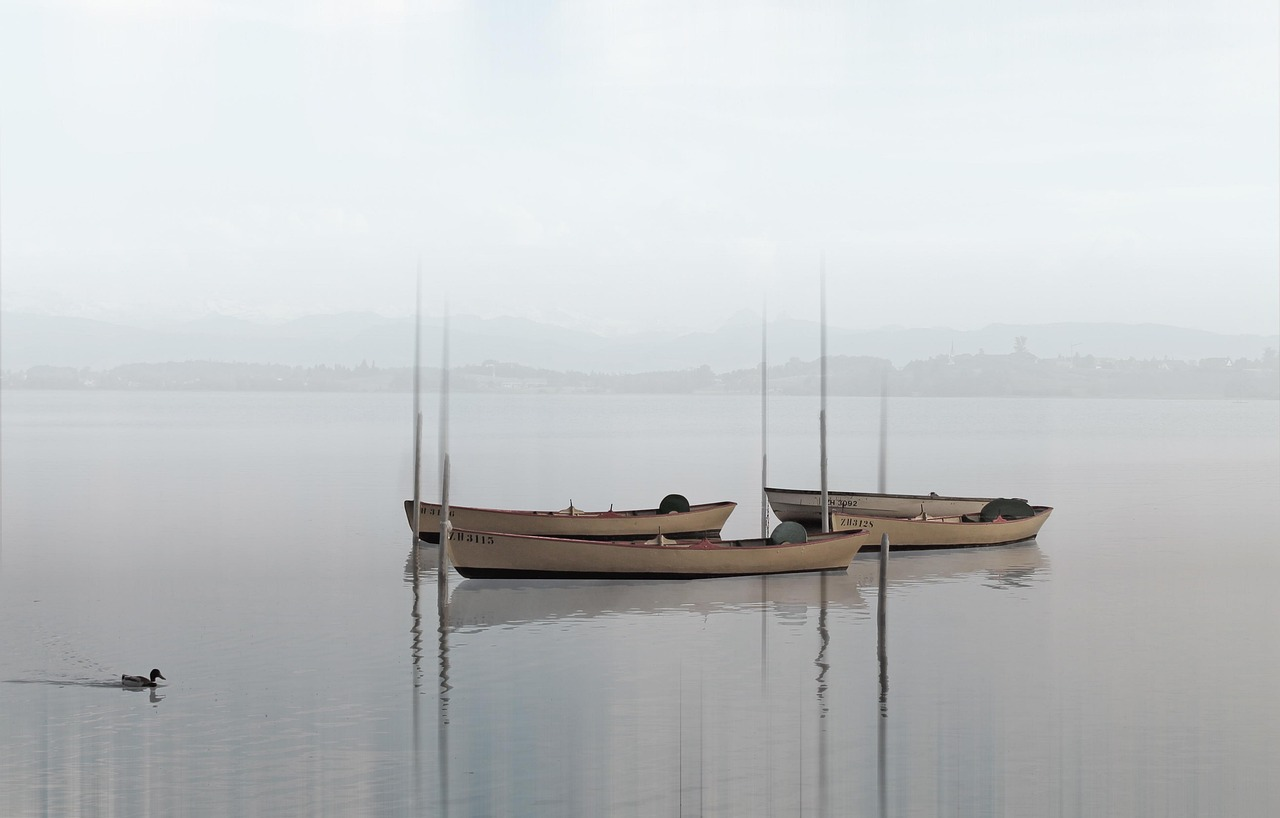Boats, lake, haze, water, duckling, swimming, wading, fishing boats, rowboats, misty, nature, fog, foggy, anchored